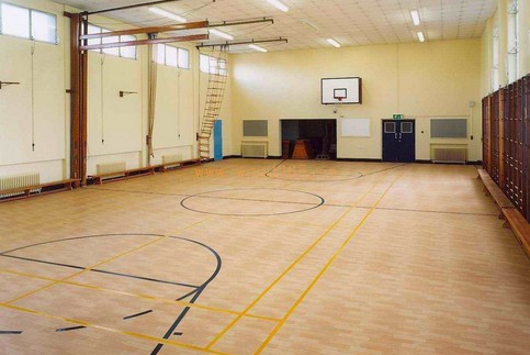 南宁塑胶运动地板-篮球场木纹运动地板